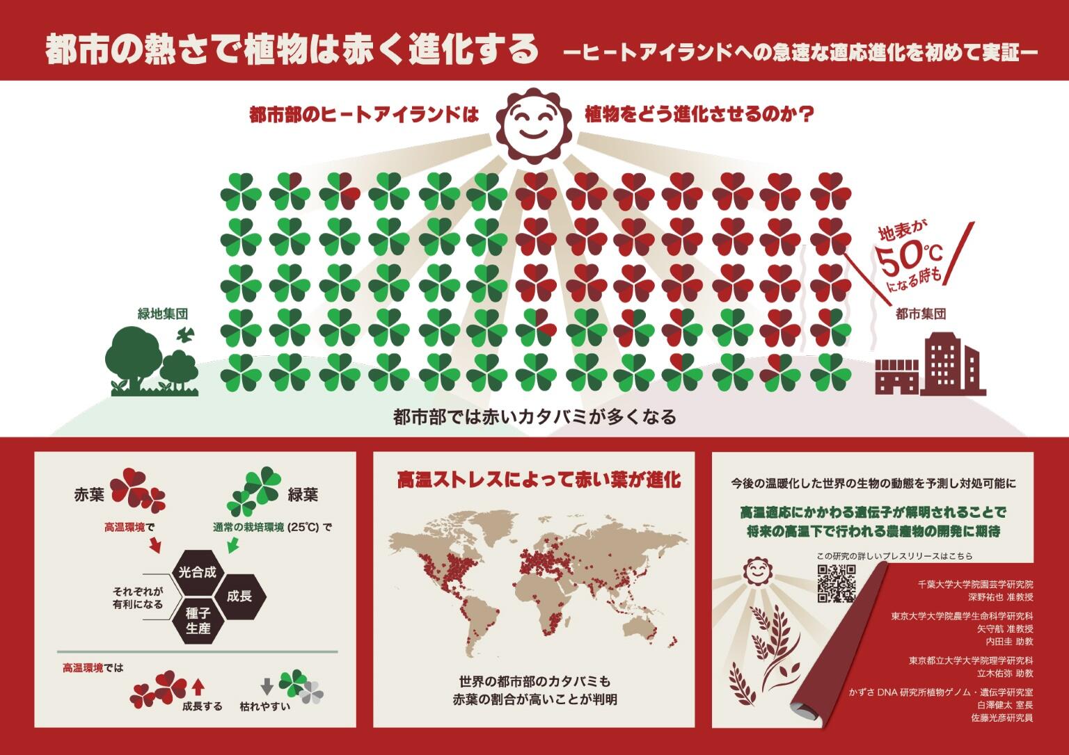 深野准教授の研究テーマ