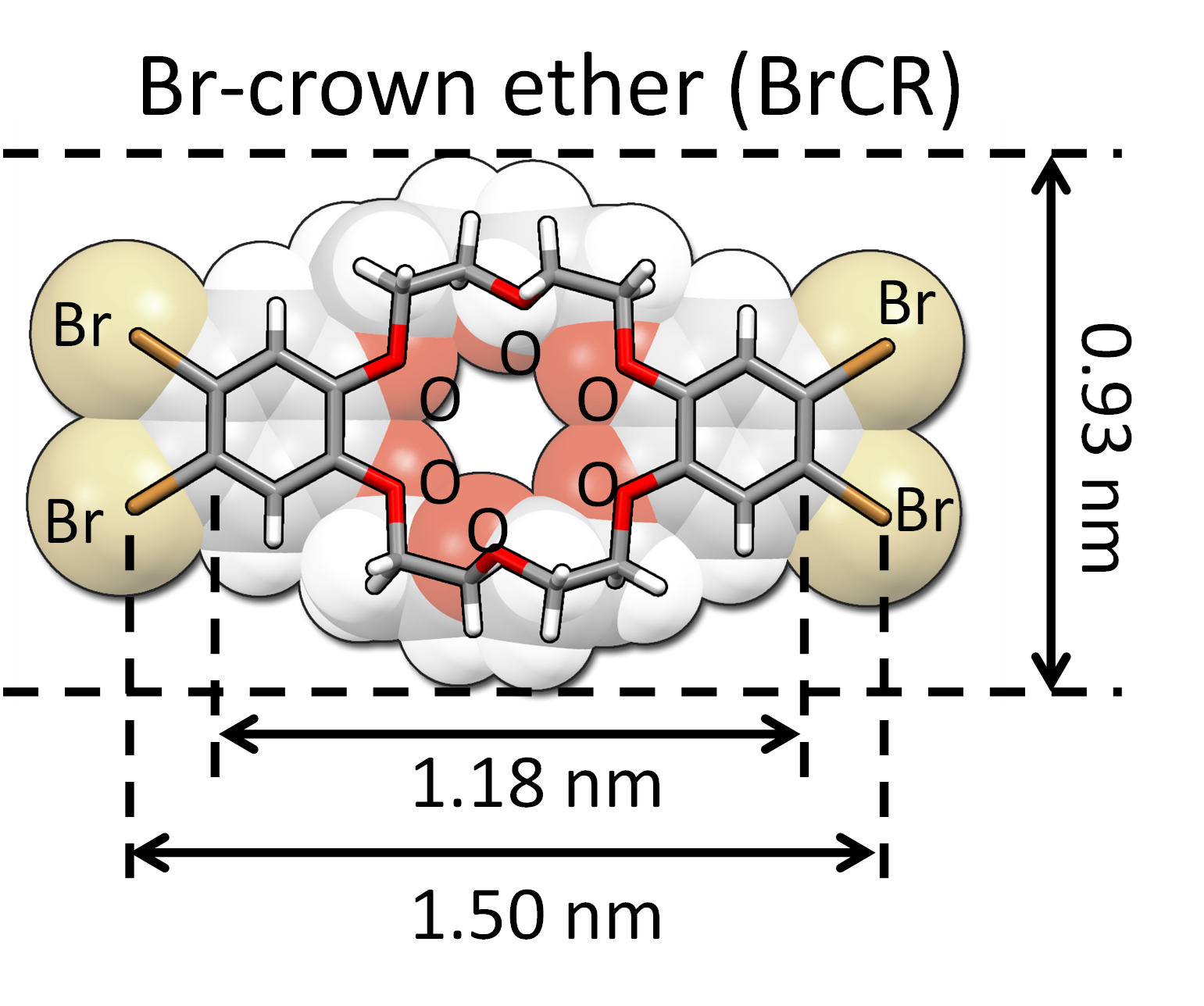 図１クラウンエーテル環状分子