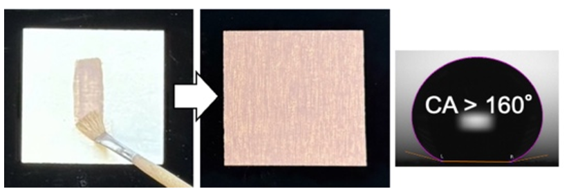 筆塗りによる構造色塗装の様子と、塗装表面の水の接触角が160度を超える超撥水性を示すデータ。