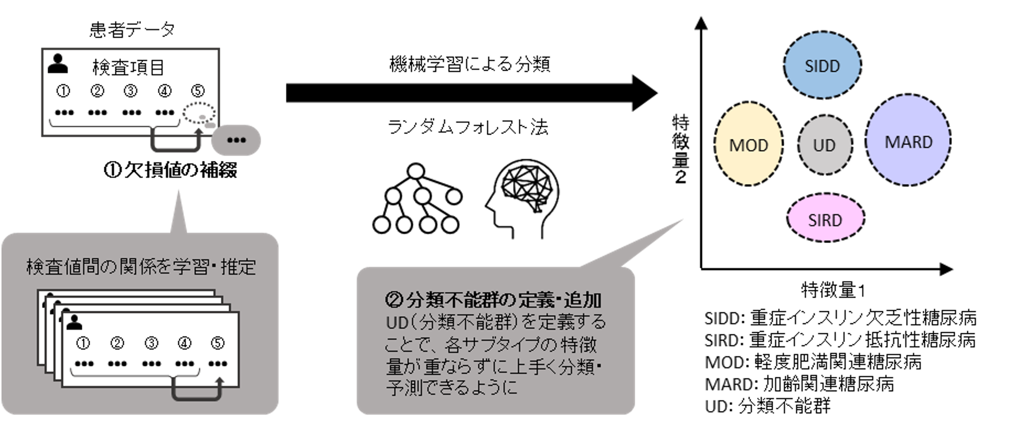 機械学習による２型糖尿病の新たなサブタイプ分類手法の開発